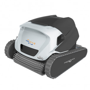 Dolphin-Poolstyle-35