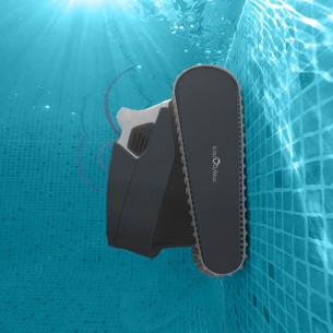 Dolphin-Poolstyle-35