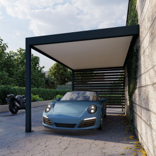 Carport_Sheltom